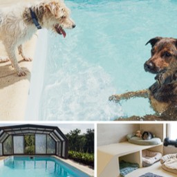 Concours Ça m'intéresse