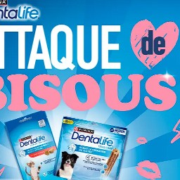 Concours Purina