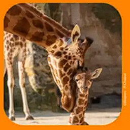 Concours Ouest-France