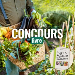 Concours Gamm vert