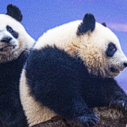 Concours CGR Cinémas