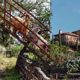 Concours Cosmopolitan.fr