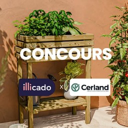 Concours illicado