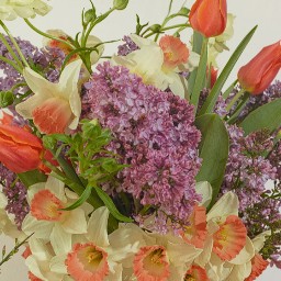 Concours Sessile fleurs