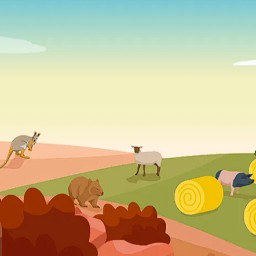 Concours ZooParc de Beauval