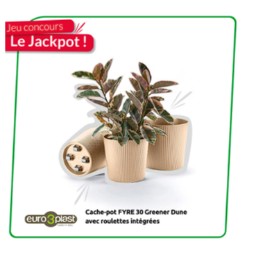 Concours Briconautes