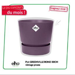 Concours Briconautes