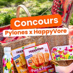 Concours Pylones