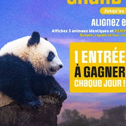 Concours ZooParc de Beauval