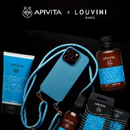 Concours Louvini Paris