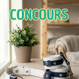 Concours The Body Optimist