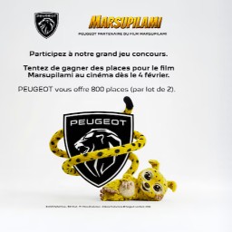Concours Peugeot