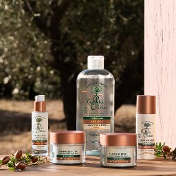 Concours Le Petit Olivier