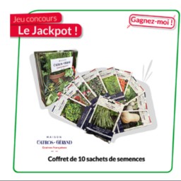 Concours Briconautes