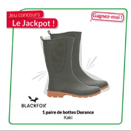 Concours Briconautes