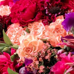 Concours Sessile fleurs